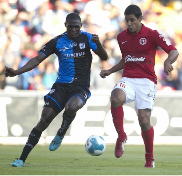 Gallos-Xolos
