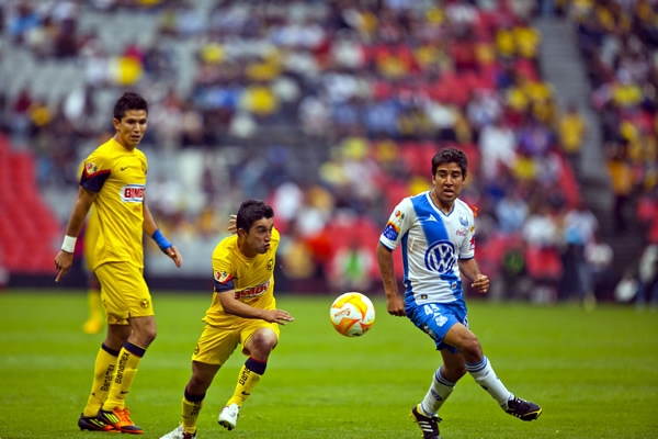 Hobbit no defrauda a Herrera y hace un buen trabajo.