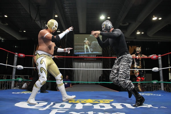 Intensa función de IWRG.