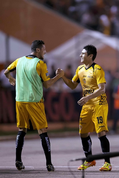 Jaguares-Pumas