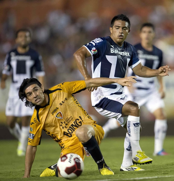 Jaguares-Pumas