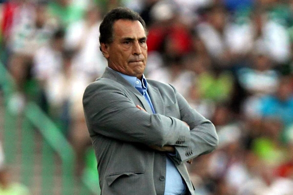 Jose Luis Real, Director Técnico del Rebaño Sagrado.