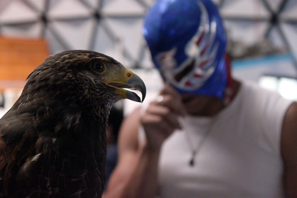 La lucha libre cerca de los fans.