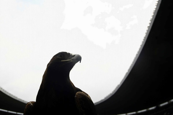 La mascota de las Águilas del América, en el Estadio Azteca.