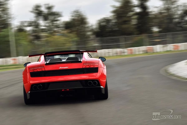 lambo-4