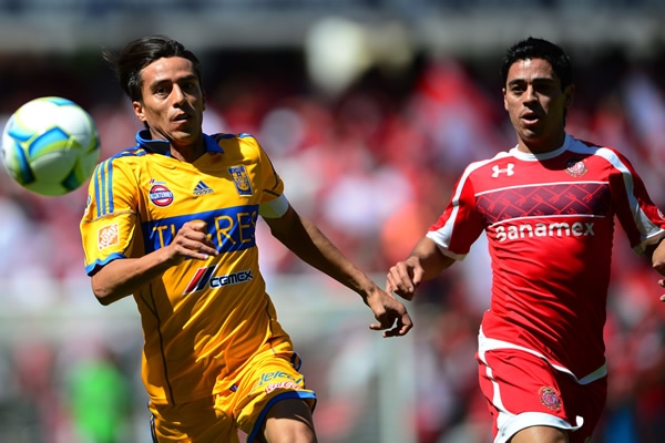 Lobos.