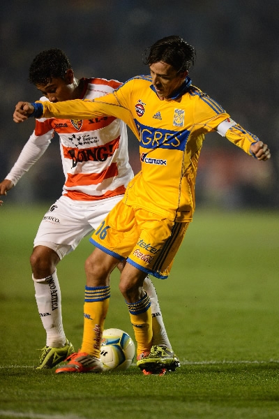 Lobos.