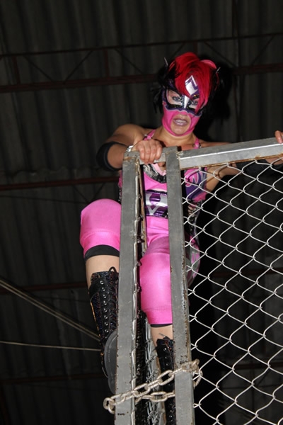 Mr. Potro se llevó la jaula mixta.