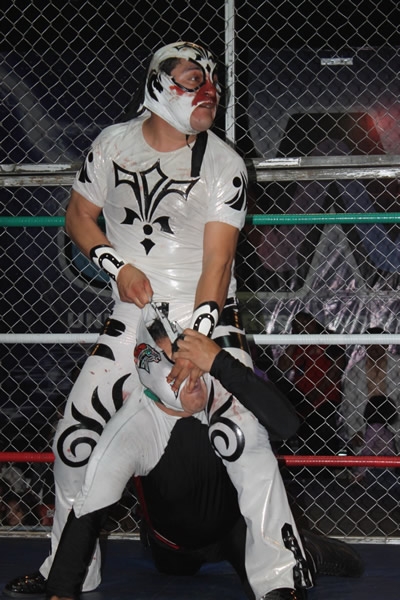 Mr. Potro se llevó la jaula mixta.