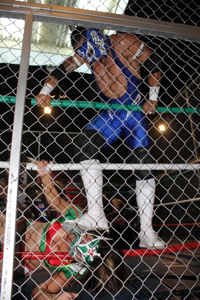 Mr. Potro se llevó la jaula mixta.