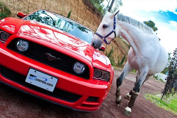 mustang 2