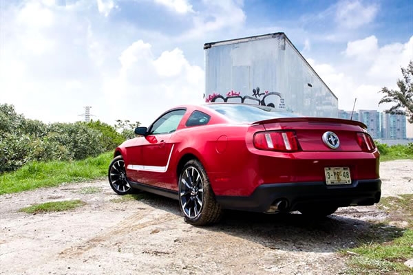 mustang-9