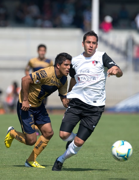 Pumas-Atlas
