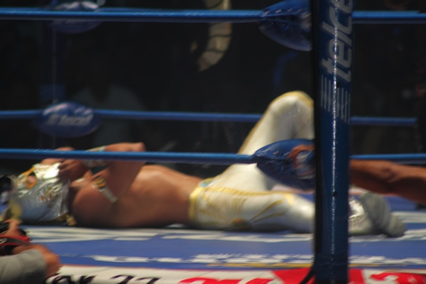 Regresó de Místico