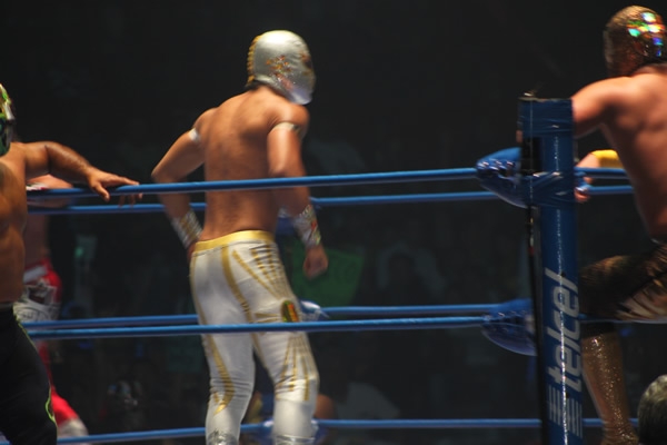 Regresó de Místico