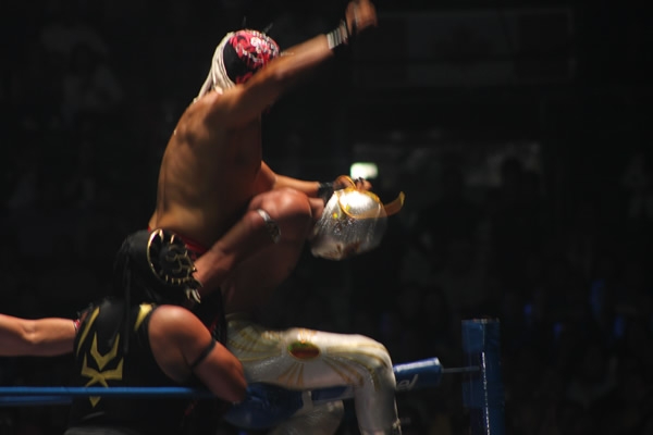 Regresó de Místico