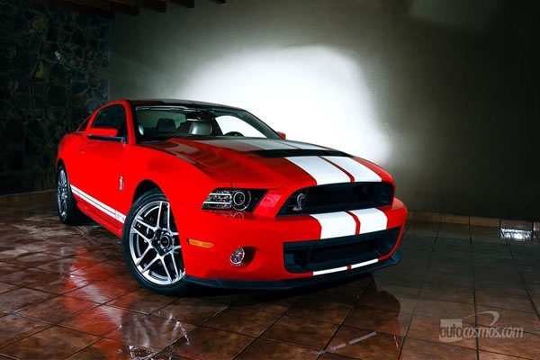 shelby 1
