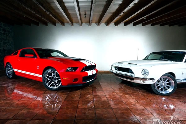 shelby 2