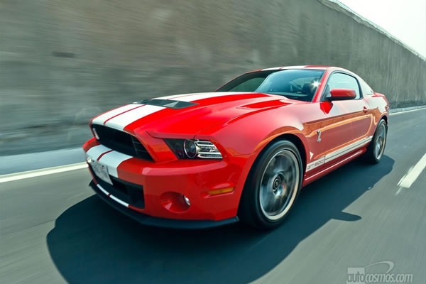 shelby 3