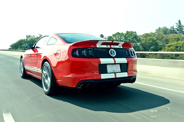shelby 5