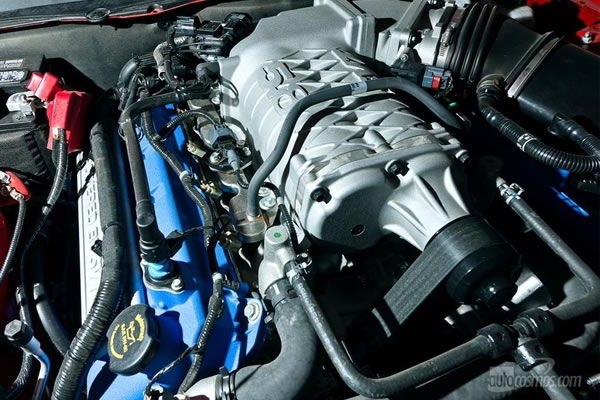 shelby 6