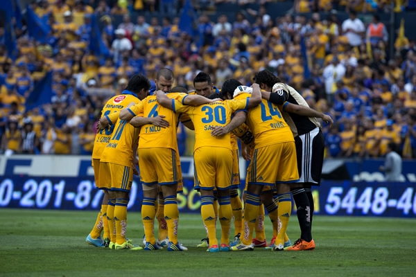 Sus mejores fieras para un duelo a muerte, el 99.