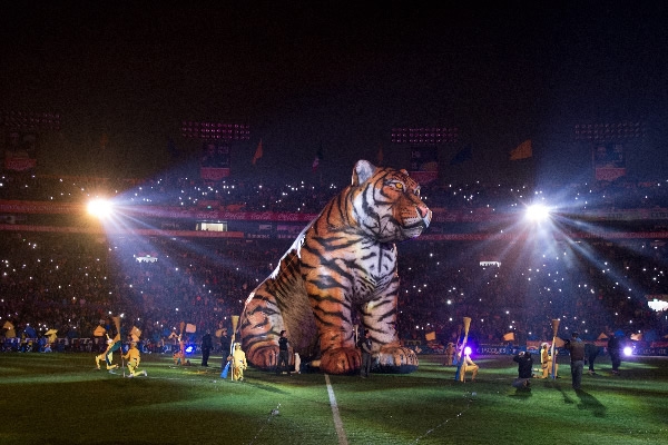 Tigre.
