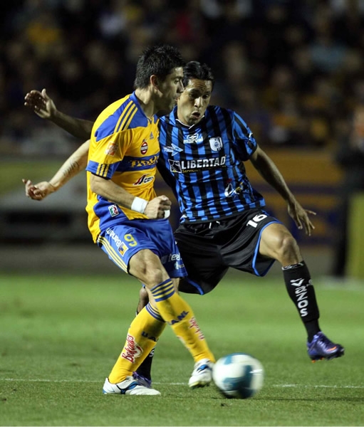 Tigres-Gallos