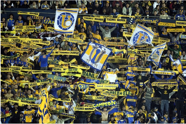 Tigres-Gallos