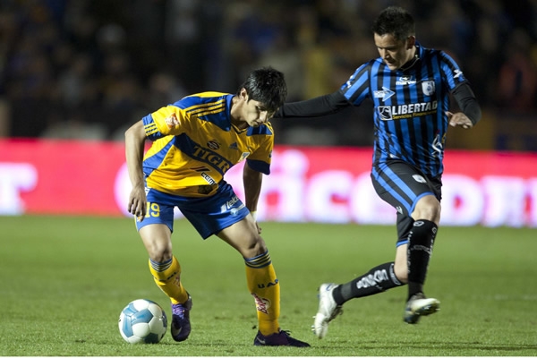 Tigres-Gallos