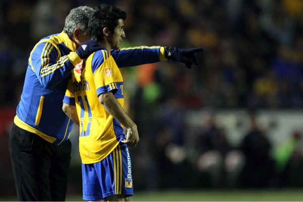 Tigres-Gallos