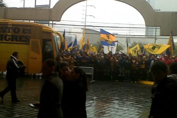 Tigres-Santos