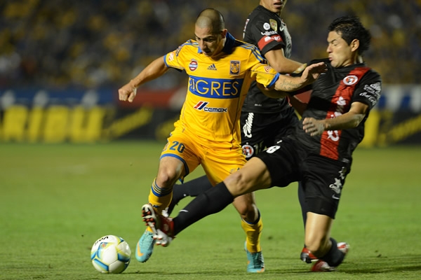Tigres-Xolos