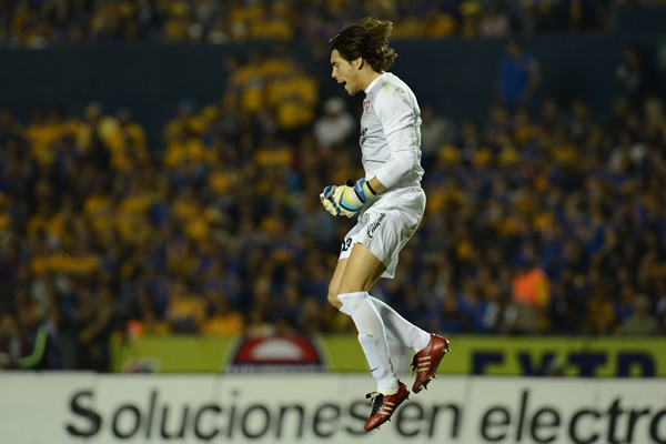 Tigres-Xolos