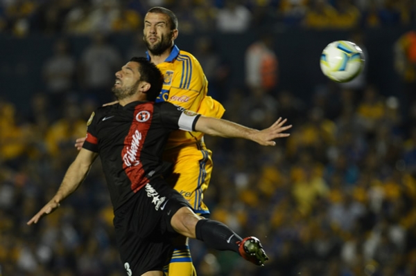 Tigres-Xolos