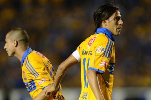 Tigres-Xolos