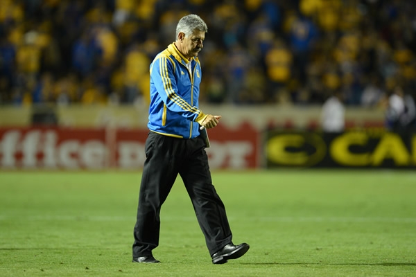Tigres-Xolos