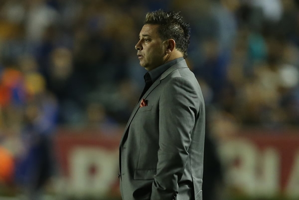 Tigres-Xolos