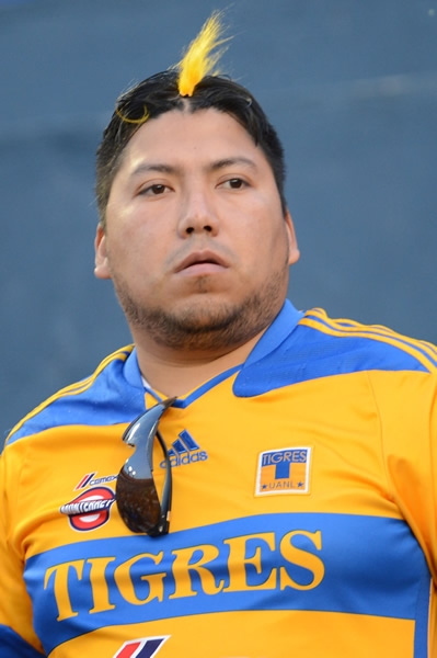 Tigres-Xolos