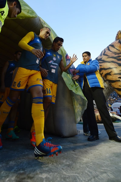 Tigres-Xolos