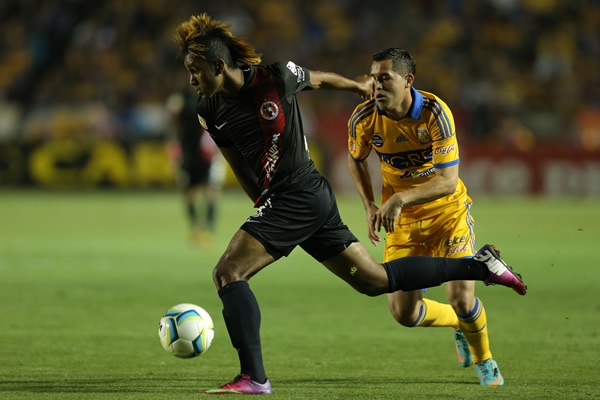 Tigres-Xolos