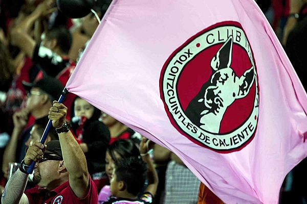 Tijuana-Pachuca8