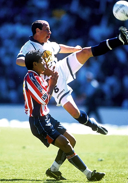 Torrado3