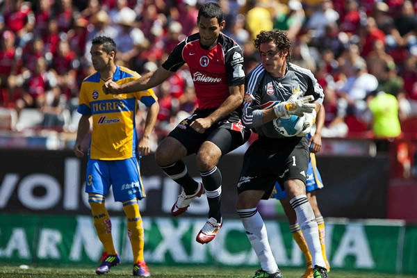 Xolos-Tigres