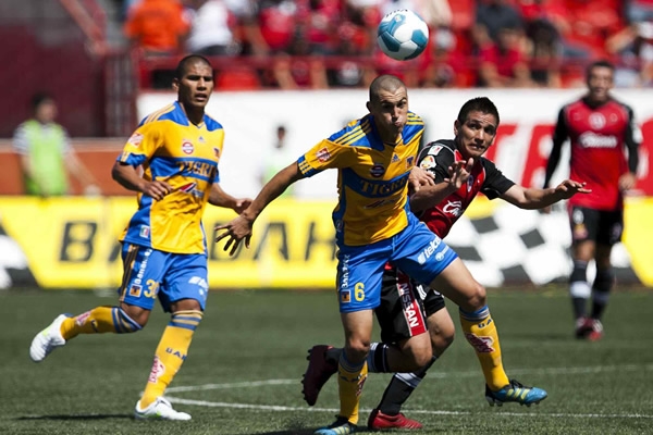 Xolos-Tigres