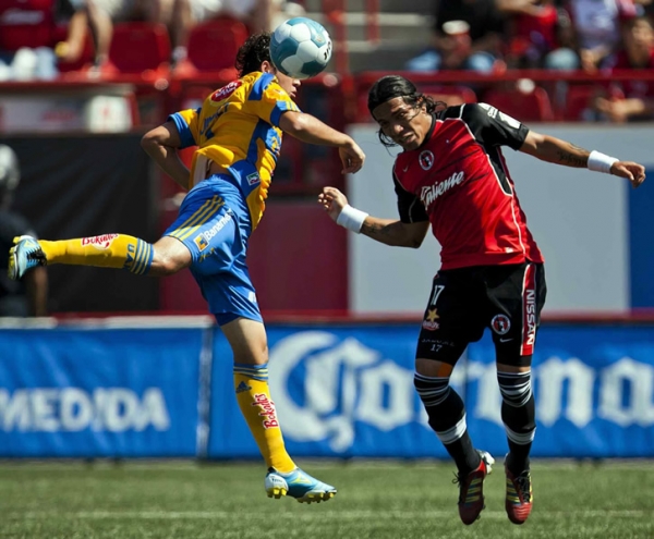 Xolos-Tigres