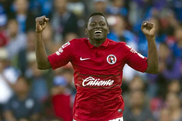 Xolos y Gallos Blancos