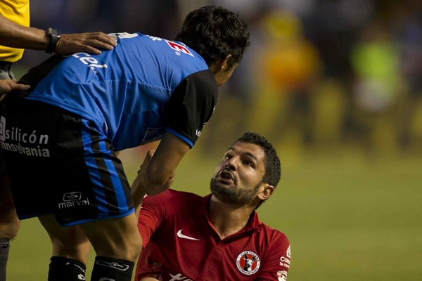 Xolos y Gallos Blancos