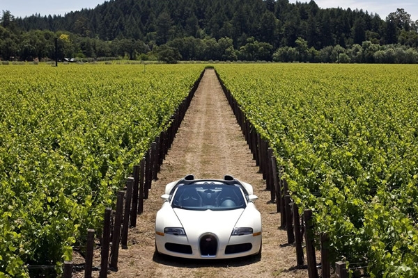 Autos | Bugatti Veyron Grand Sport Roadster 2