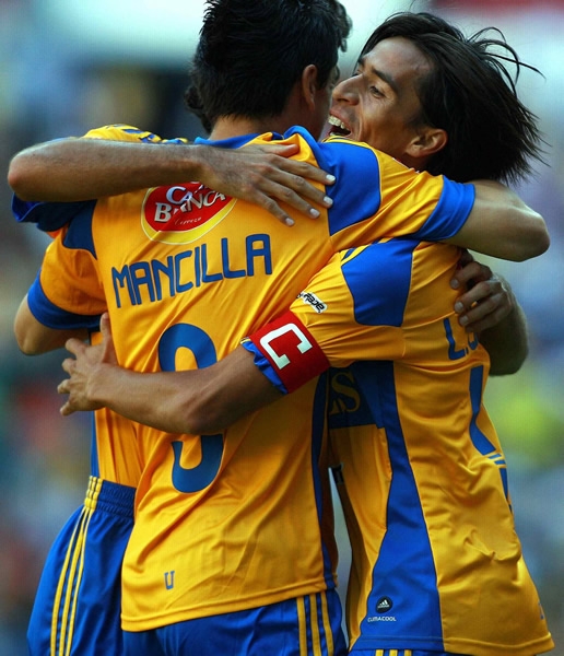 La alegría de los felinos